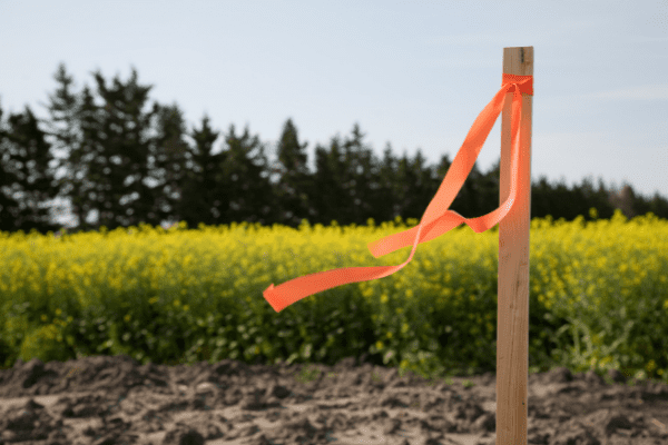 A pole with an orange ribbon indicates a measurement of distance.