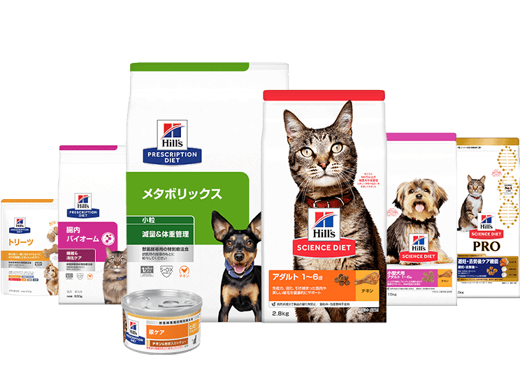 Plusieurs emballages de produits Hill's Pet Nutrition sont exposés, notamment des sacs et des boîtes pour chats et chiens, chacun arborant des animaux de compagnie et des étiquettes colorées avec du texte en japonais. GroupM et Hill's Pet Nutrition voient leur chiffre d'affaires monter en flèche grâce à Skai.