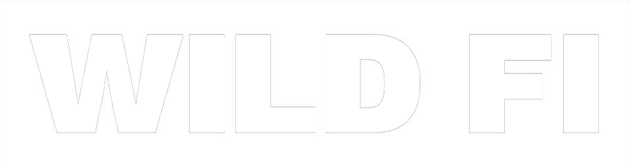 L'image représente les lettres majuscules « WILD FI », en gros caractères gras de couleur gris clair, sur fond blanc, en référence à une étude de cas consacrée au Smart Bidding et à l'optimisation budgétaire.